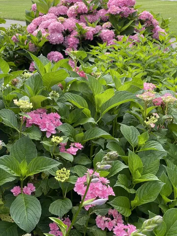 $650,000 | 100 Point Circle, Tullahoma, TN 37388