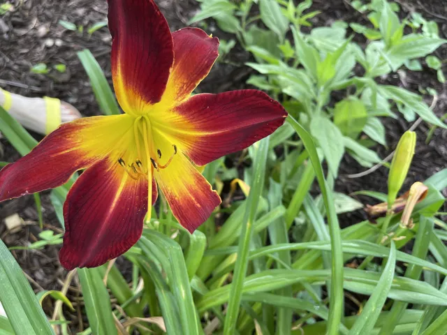 $650,000 | 100 Point Circle, Tullahoma, TN 37388