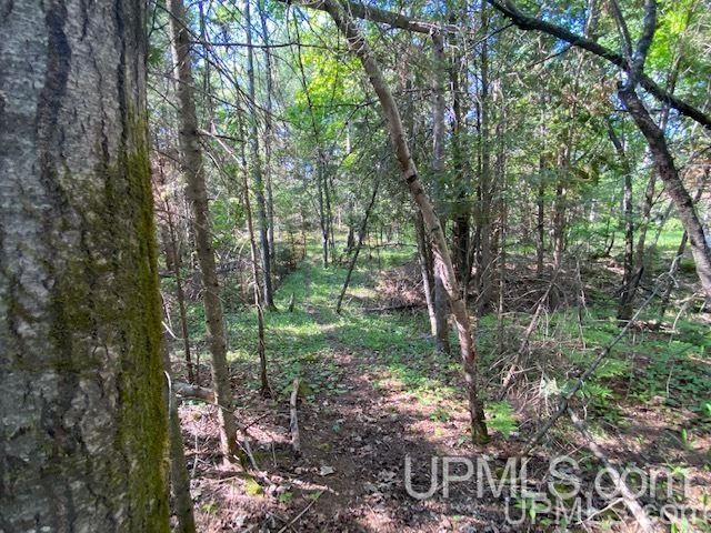 3980 County Road 476 Ishpeming, MI 49849 - Photo 37 of 37