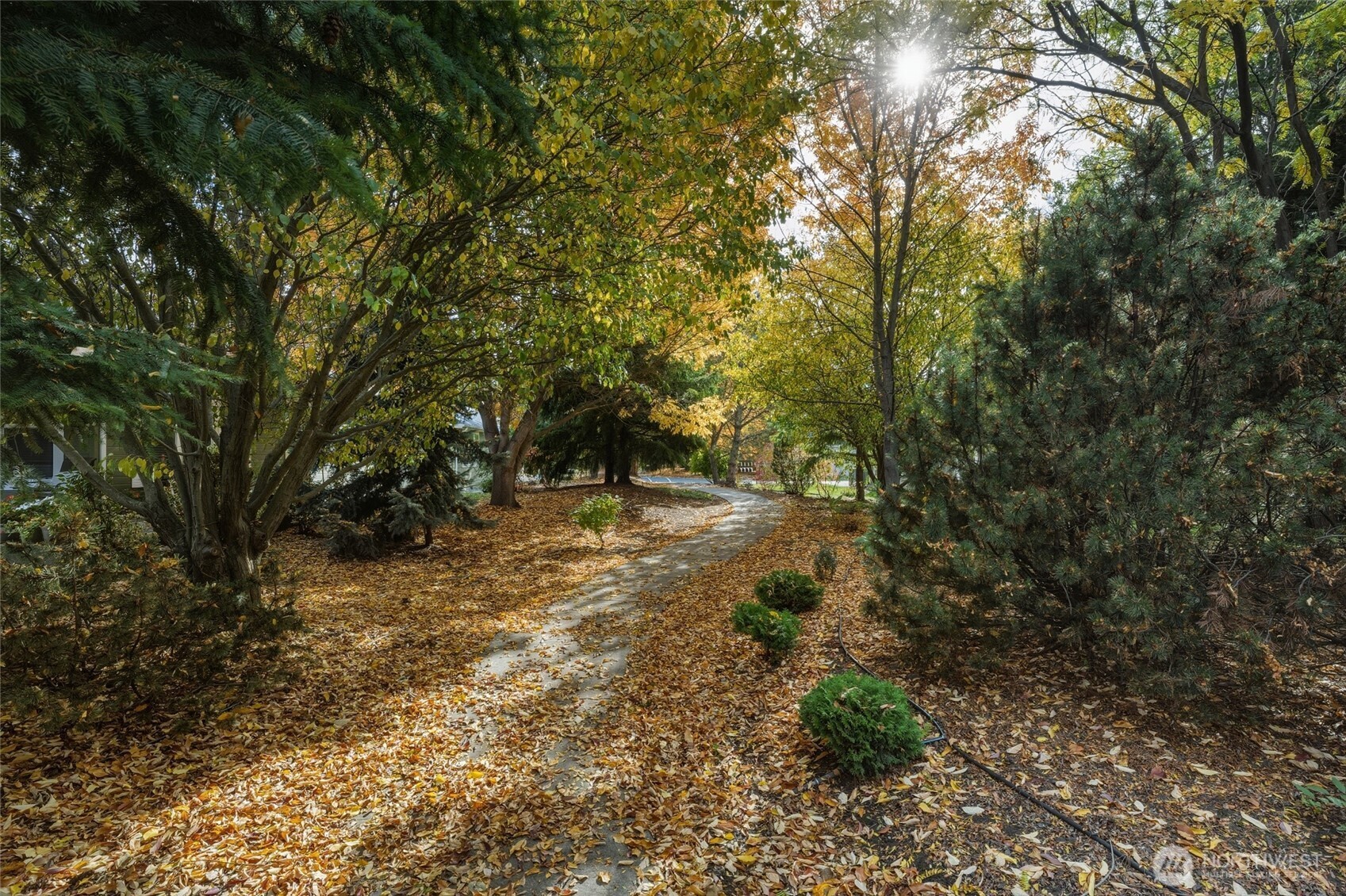 673 Southeast Whimbrel Loop College Place, WA 99324 - Photo 36 of 38
