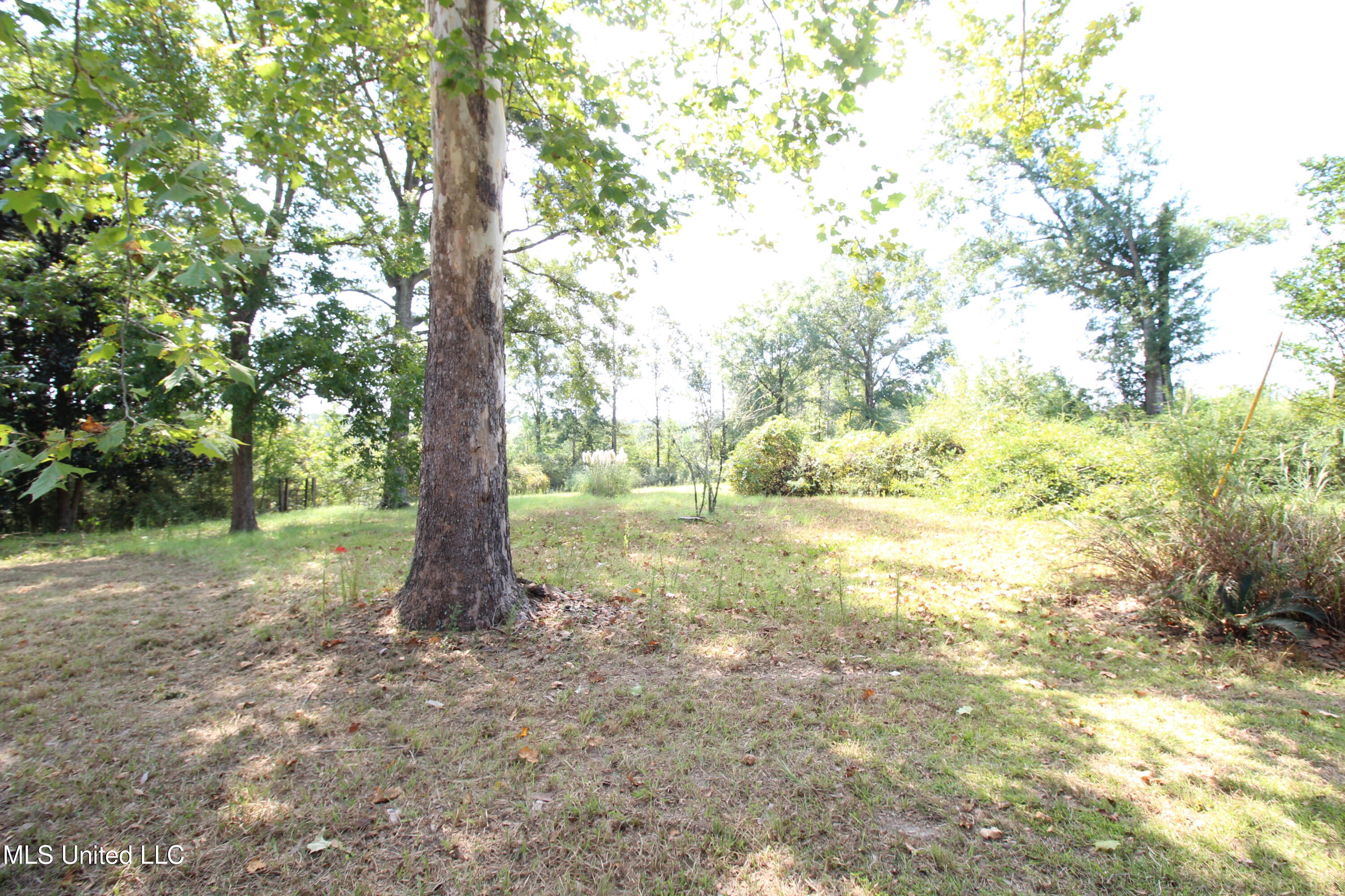 374 Willie Kittrell Road State Line, MS 39362 - Photo 19 of 25 IMG_3665