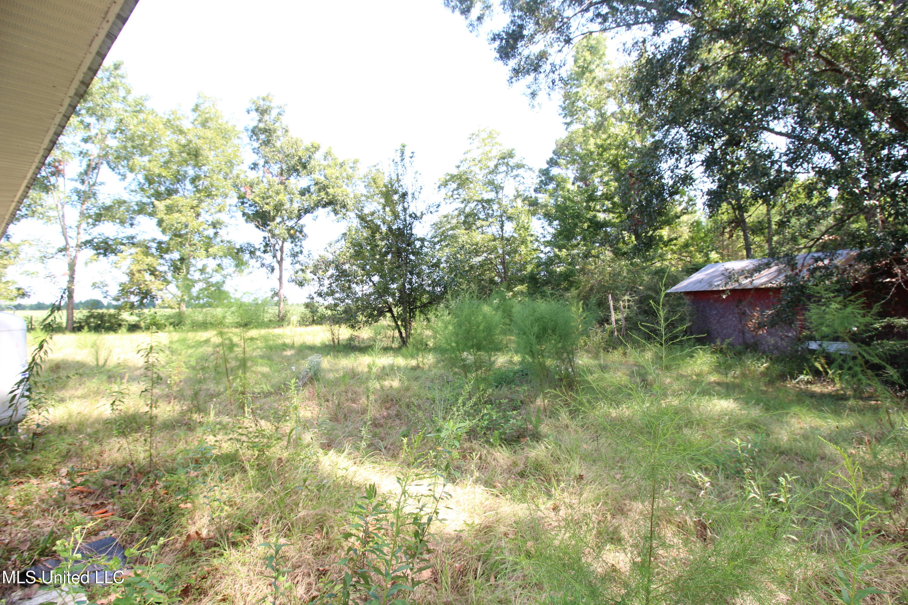 374 Willie Kittrell Road State Line, MS 39362 - Photo 24 of 25 IMG_3669