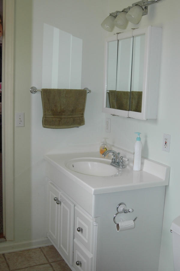 327 Clemons Road Roanoke, VA 24019 - Photo 26 of 35 a bathroom with a sink and a mirror