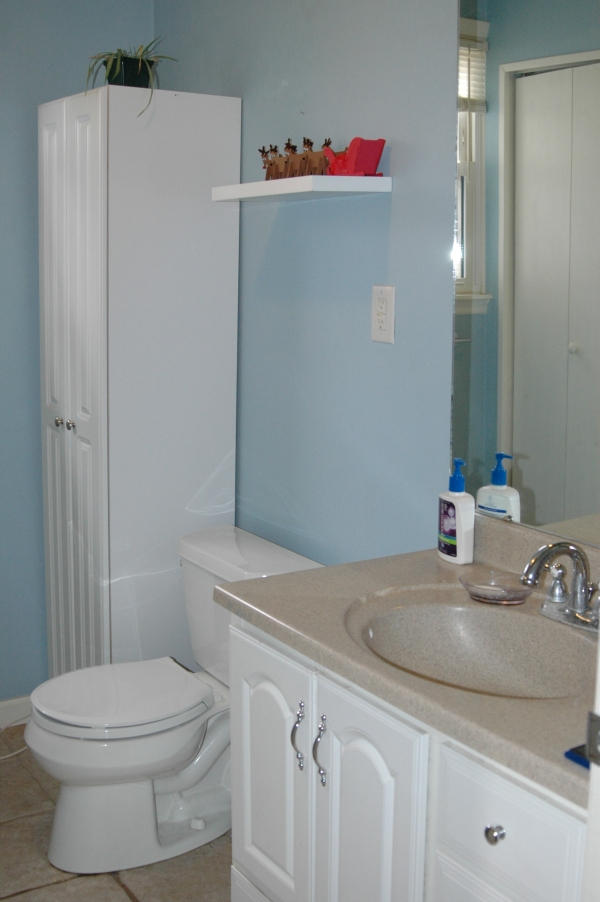 327 Clemons Road Roanoke, VA 24019 - Photo 27 of 35 a bathroom with a sink a toilet and shower