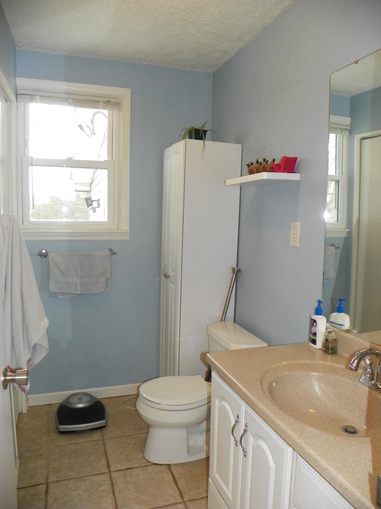 327 Clemons Road Roanoke, VA 24019 - Photo 28 of 35 a bathroom with a sink a toilet and a mirror