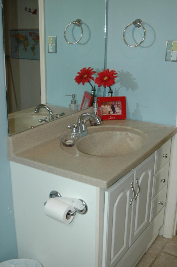 327 Clemons Road Roanoke, VA 24019 - Photo 30 of 35 a bathroom with a sink vanity and mirror