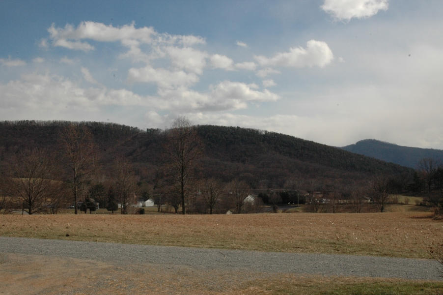 327 Clemons Road Roanoke, VA 24019 - Photo 4 of 35 a view of a yard