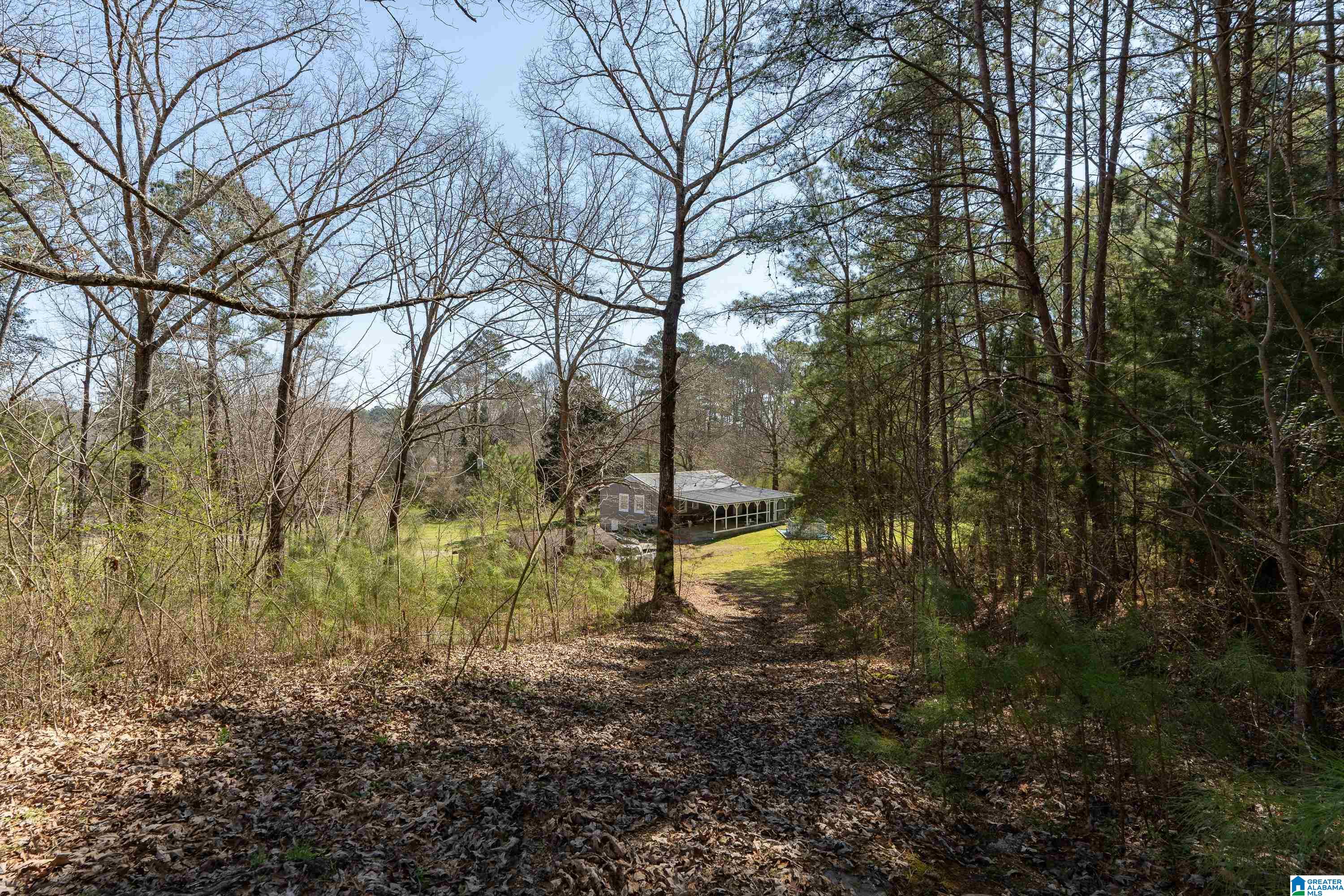 2469 Warrior Trafford Road Trafford, AL 35172 - Photo 31 of 33