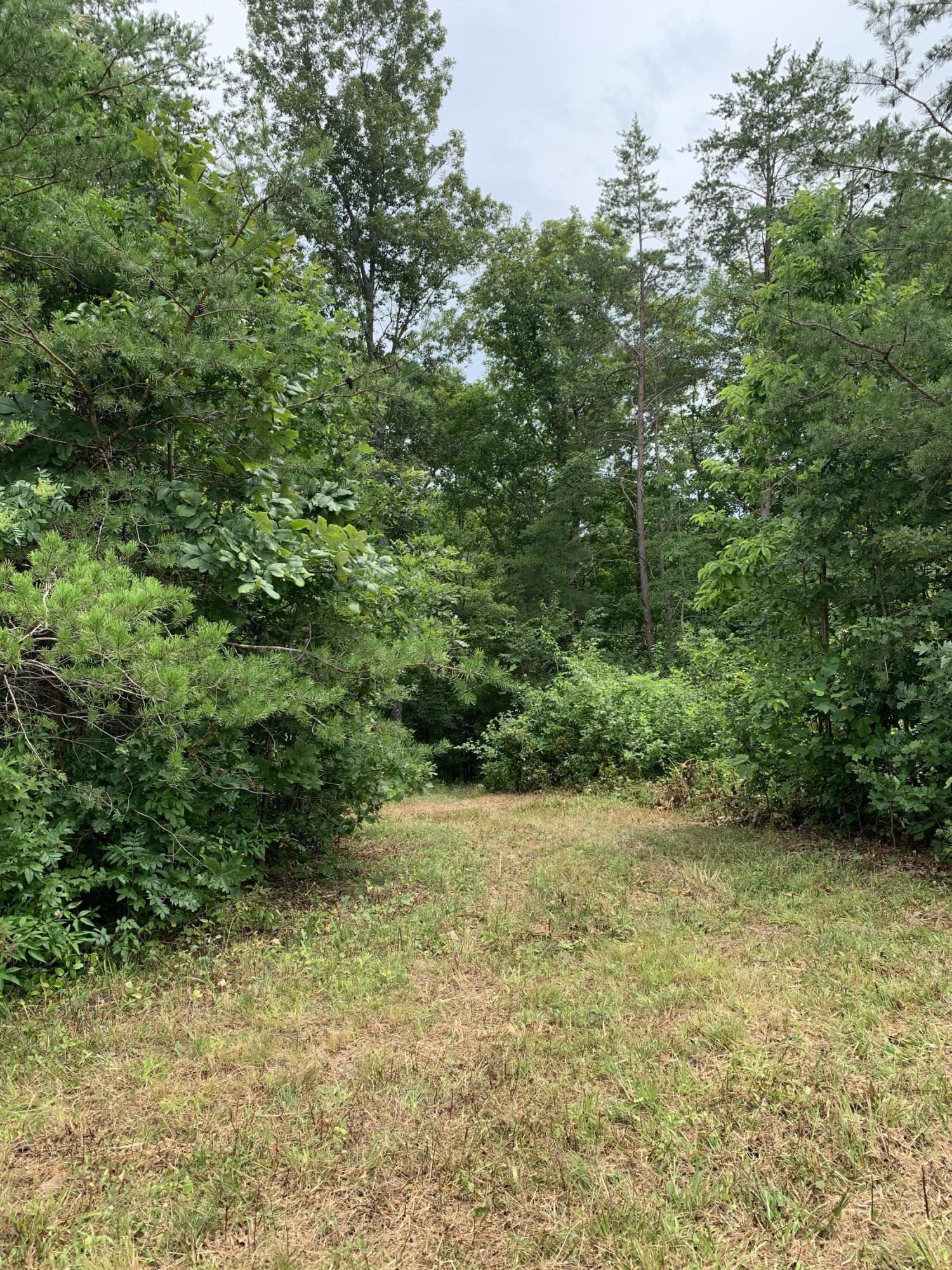 485 Frye Road Nancy, KY 42544 - Photo 11 of 18 x%CYqmBgQJS7%l45w9ZkcA