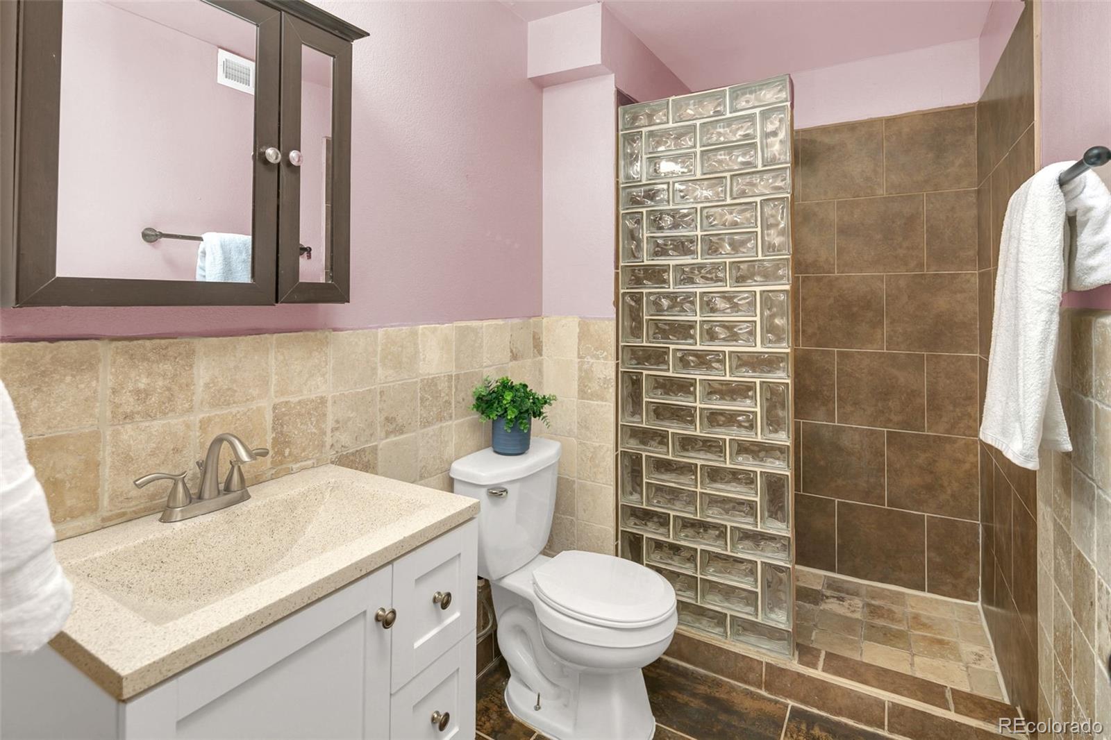 673 Sage Circle Highlands Ranch, CO 80126 - Photo 23 of 39