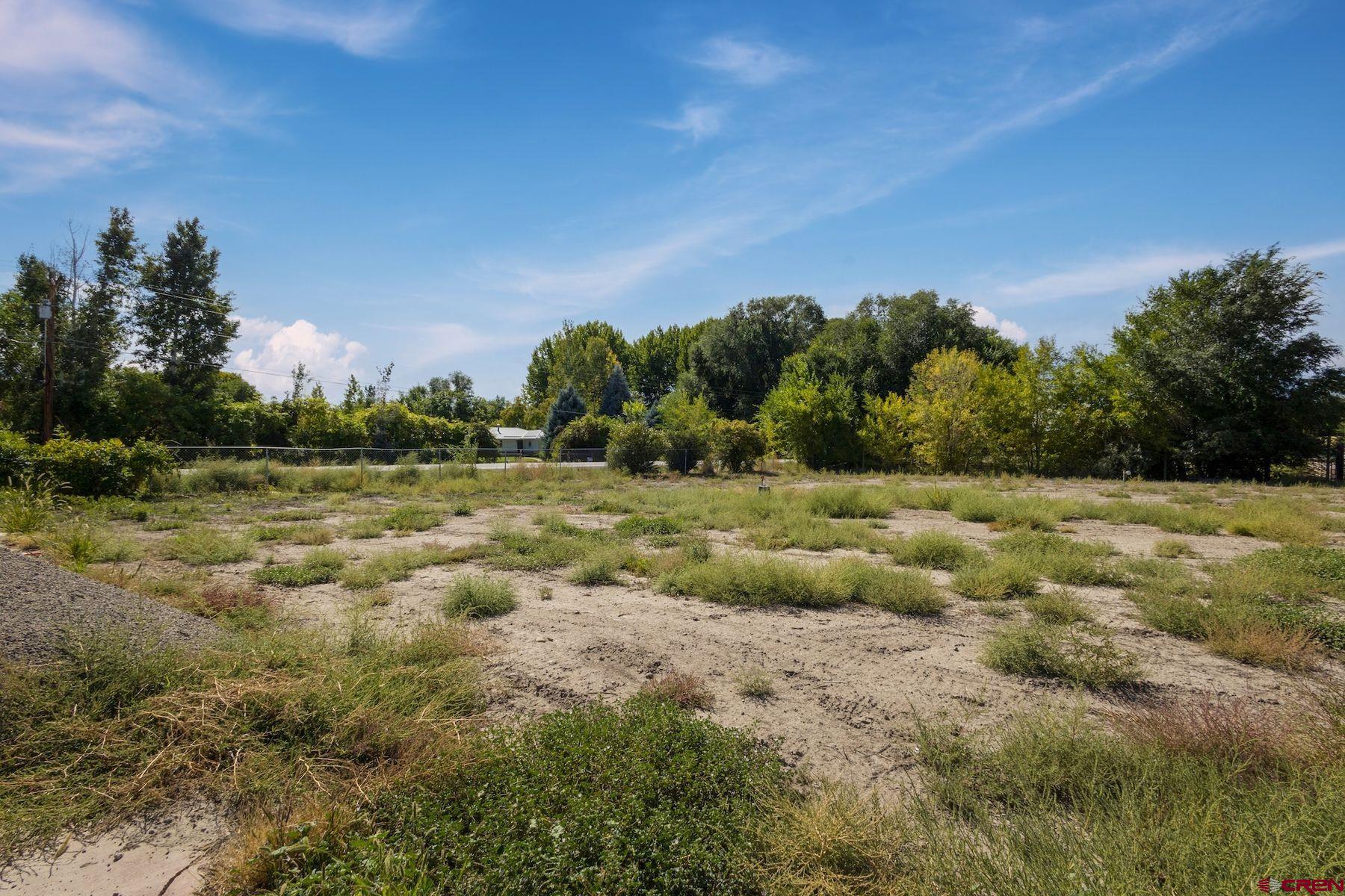 62951 Lasalle Road Montrose, CO 81401 - Photo 16 of 26