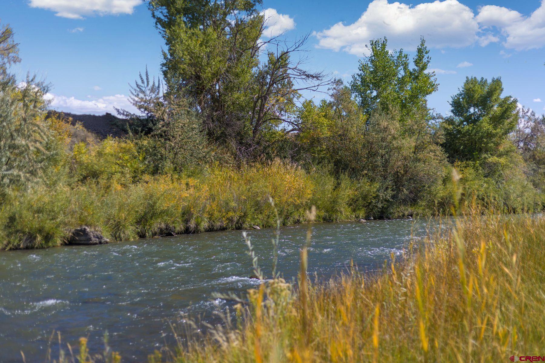 62951 Lasalle Road Montrose, CO 81401 - Photo 23 of 26