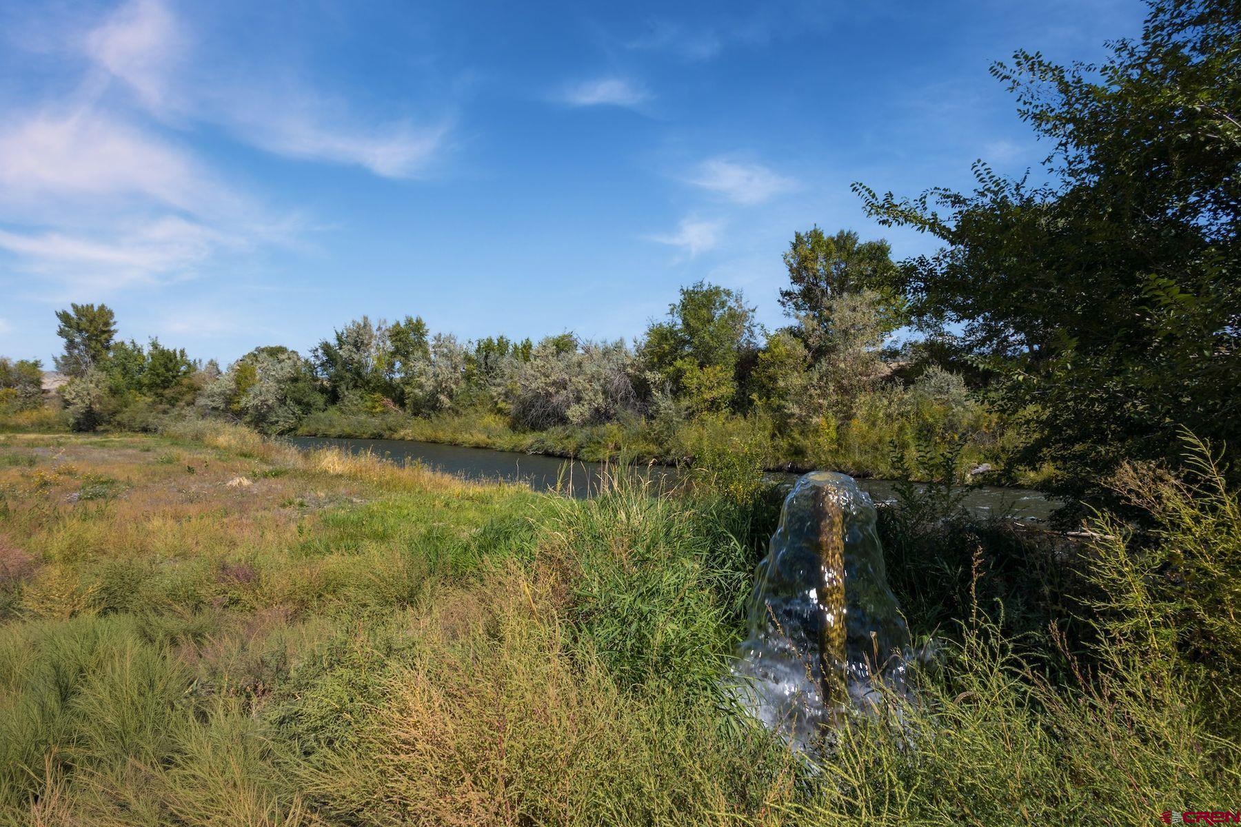 62951 Lasalle Road Montrose, CO 81401 - Photo 3 of 26