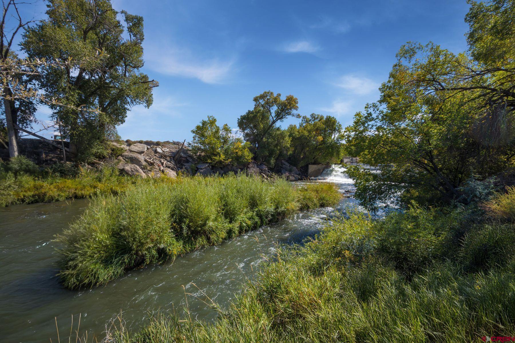 62951 Lasalle Road Montrose, CO 81401 - Photo 4 of 26