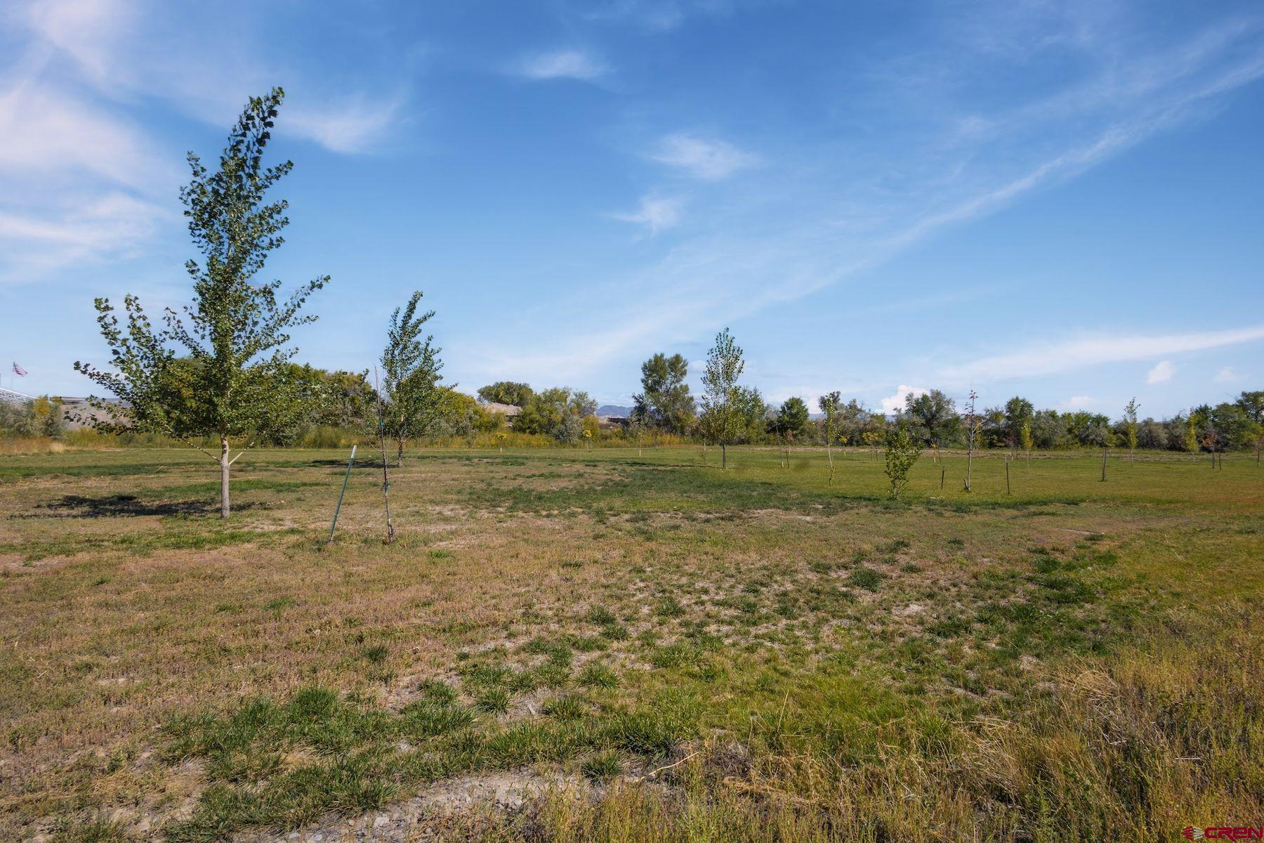 62951 Lasalle Road Montrose, CO 81401 - Photo 6 of 26
