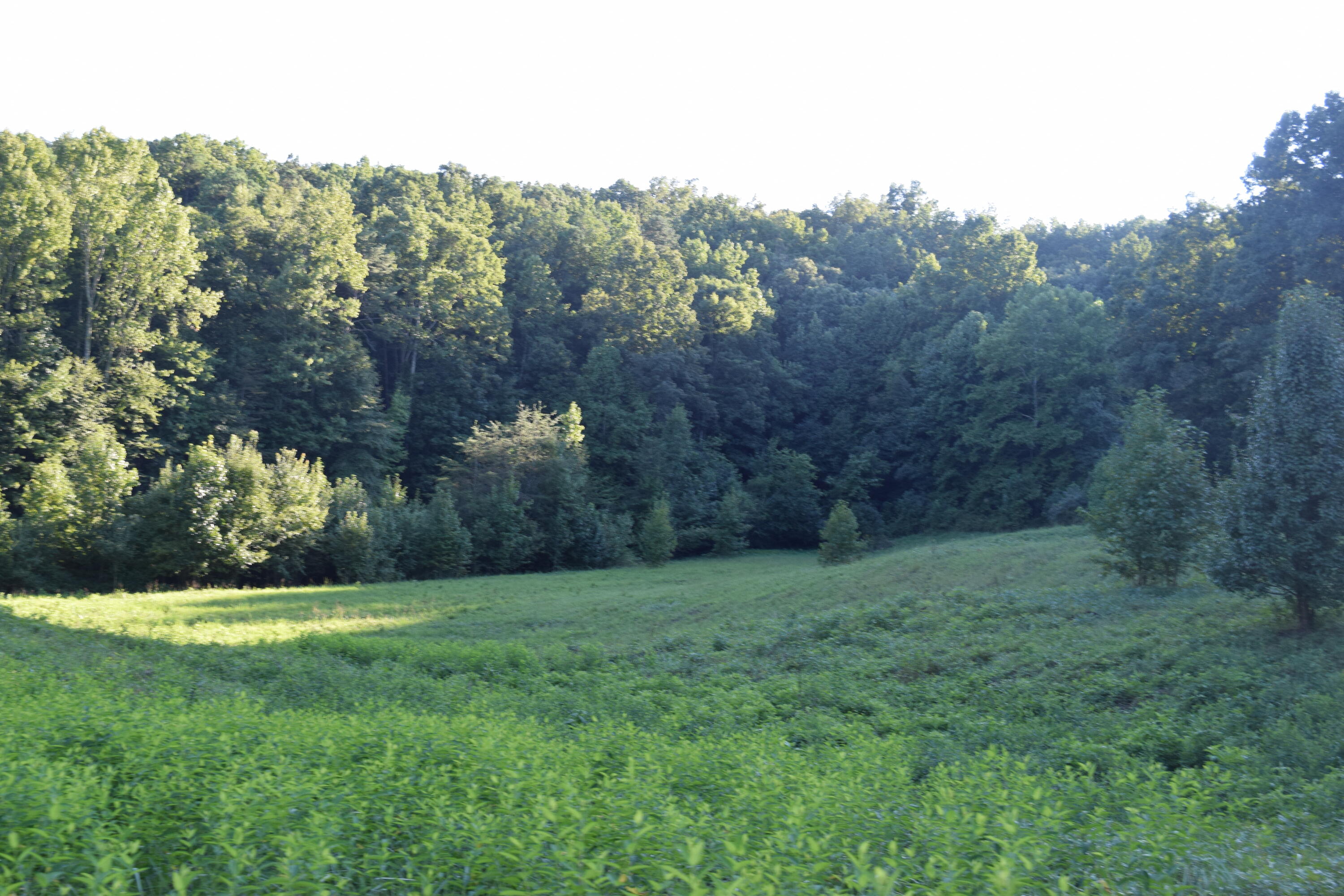 2091 Somerset Road London, KY 40741 - Photo 11 of 36 DSC_0009