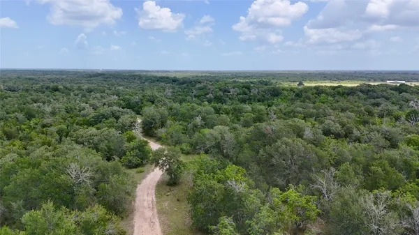 an aerial view of houses covered in trees