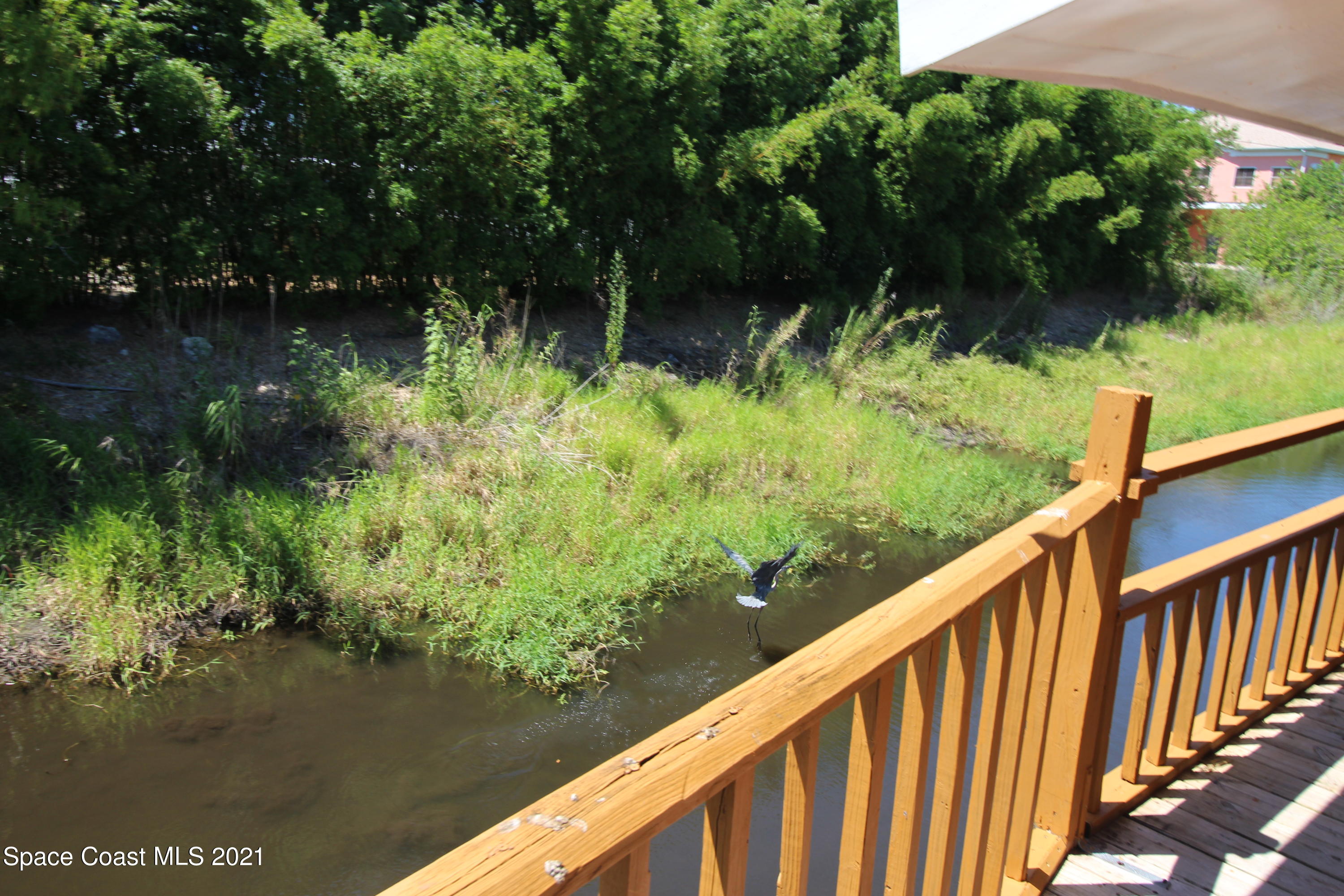 5716 Lake Poinsett Road Cocoa, FL 32926 - Photo 26 of 39 IMG_8283