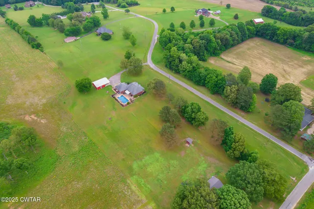 a view of a garden with plants and large trees