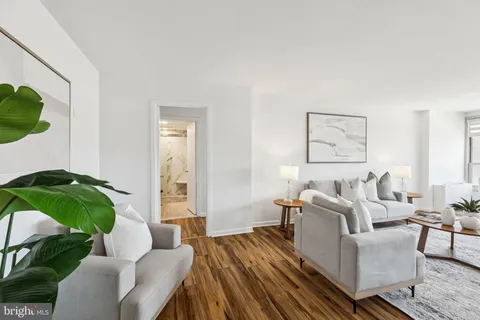 a living room with furniture and a potted plant