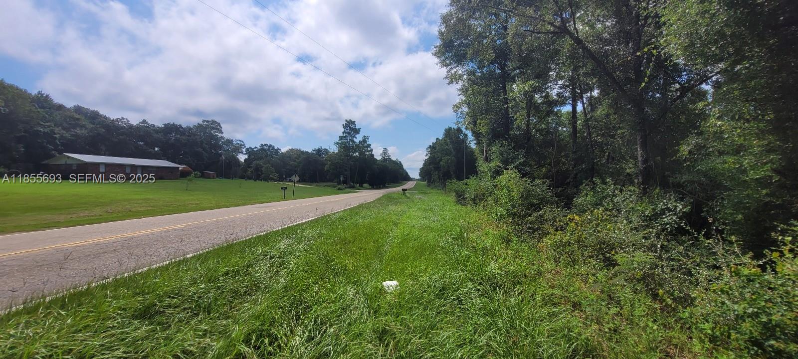 0 Pate Pond Road Caryville, FL 32427 - Photo 4 of 12 a view of a golf course with a garden