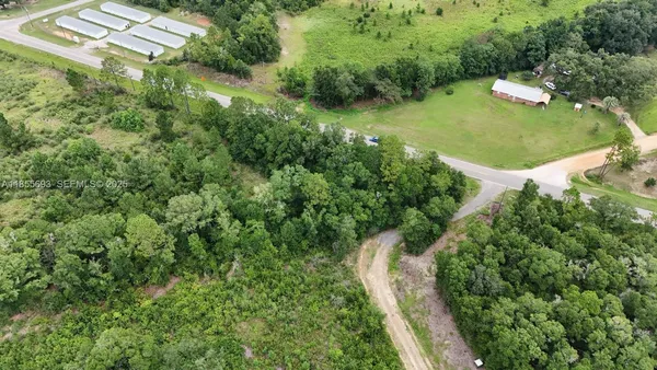 an aerial view of a house with a yard and lake view