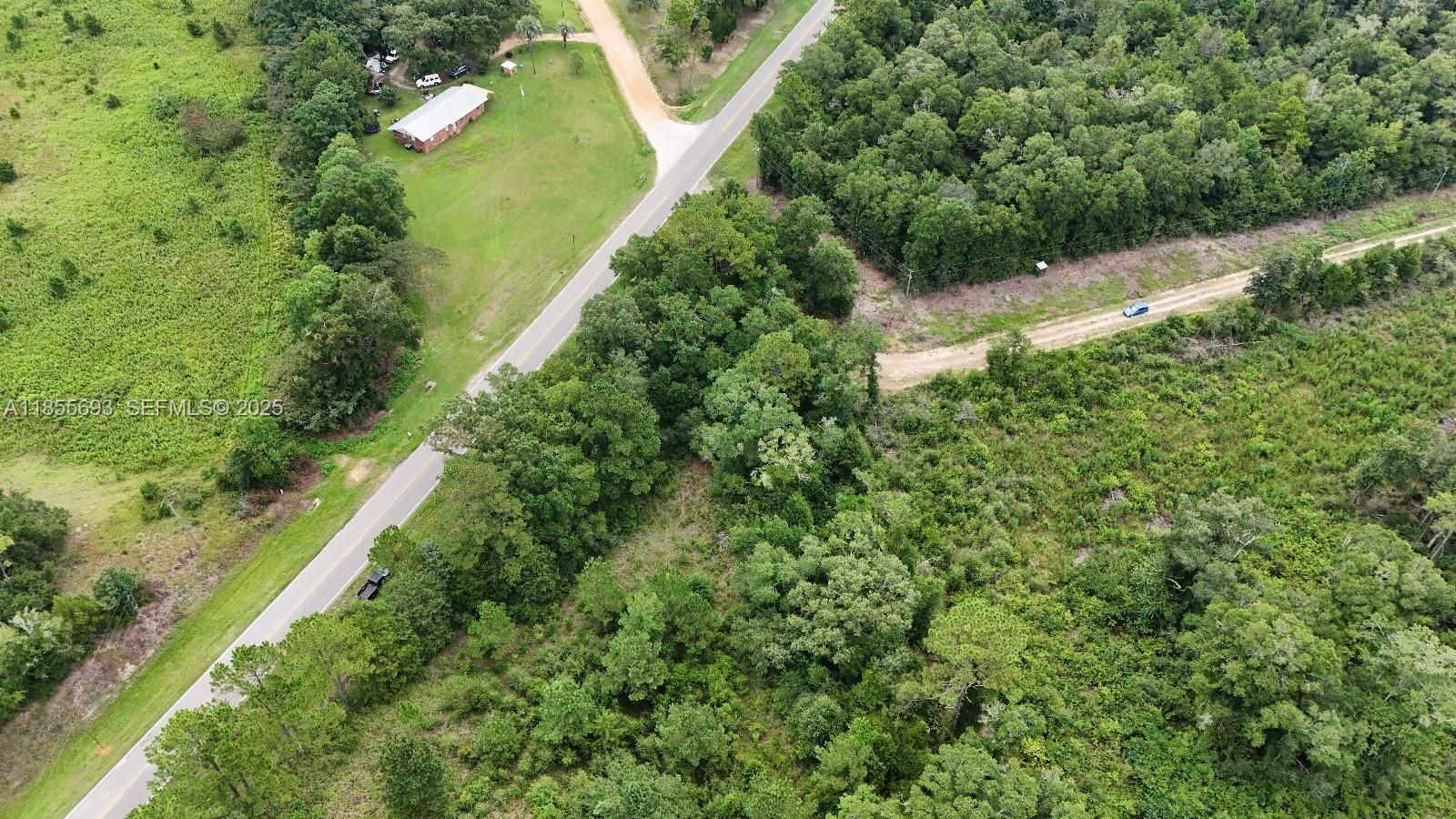 0 Pate Pond Road Caryville, FL 32427 - Photo 8 of 12 a view of a yard with plants and large trees