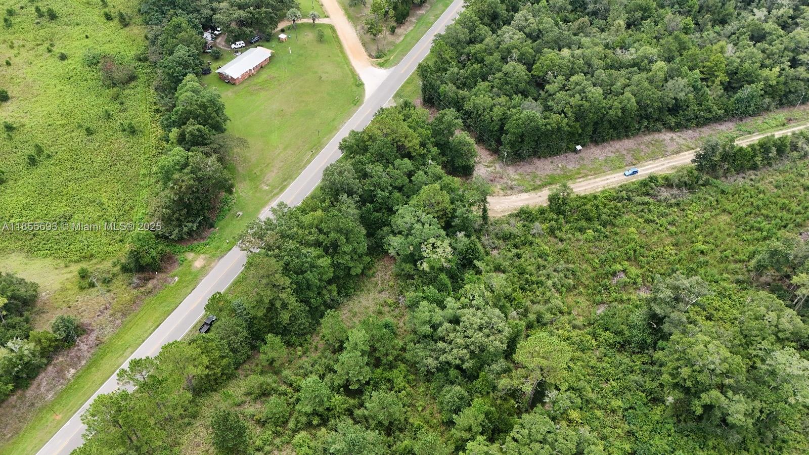 0 Pate Pond Road Caryville, FL 32427 - Photo 8 of 12