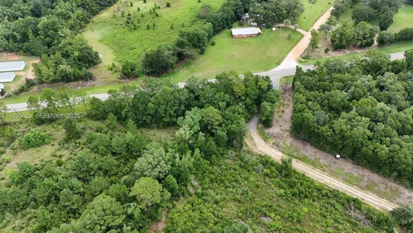 an aerial view of a house with a yard and lake view