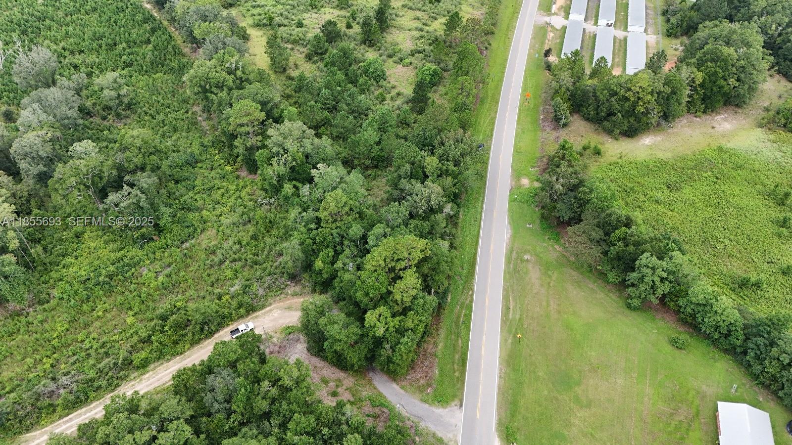 0 Pate Pond Road Caryville, FL 32427 - Photo 10 of 12 a view of a yard with plants and large trees