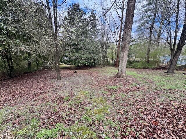 243 Callie Jones Road Chatsworth, GA 30705 - Photo 16 of 20 243 Callie Jones back yard