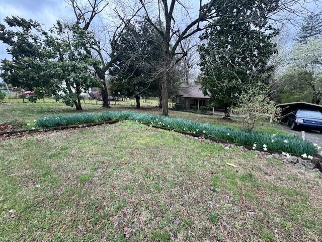 243 Callie Jones Road Chatsworth, GA 30705 - Photo 2 of 20 243 Callie Jones front yard