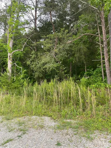 $90,000 | 0 Bat Creek Shores Lane, Vonore, TN 37885