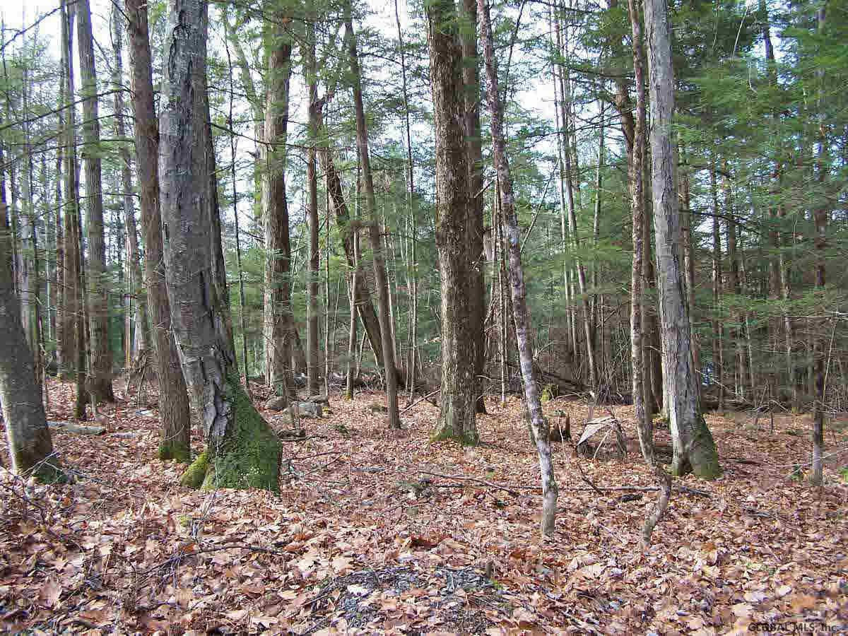 86 Retreat Road Bolton, NY 12824 - Photo 2 of 5 Photo 2