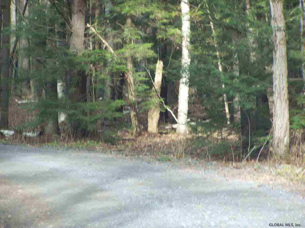 86 Retreat Road Bolton, NY 12824 - Photo 3 of 5 Photo 3