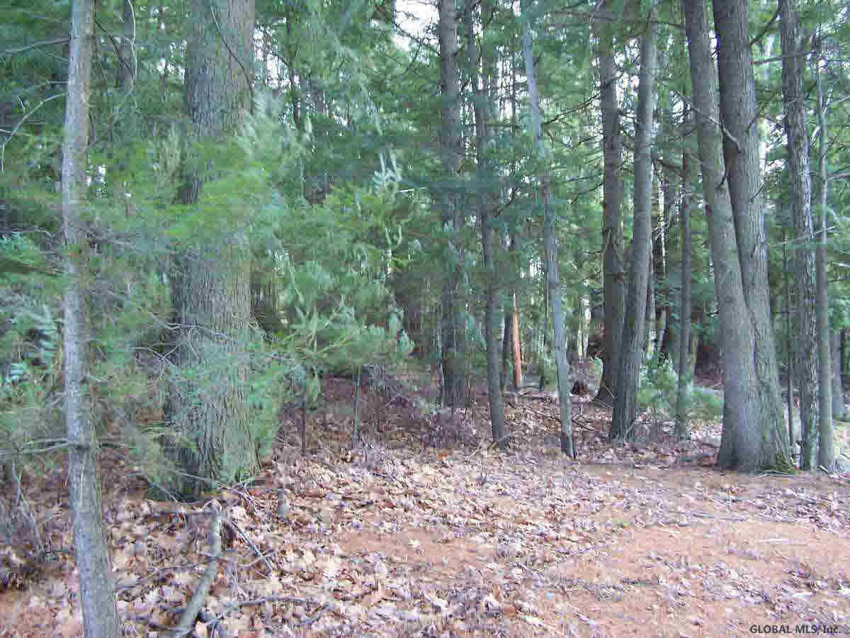 86 Retreat Road Bolton, NY 12824 - Photo 4 of 5 Photo 4