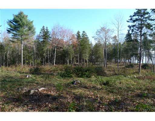 0 Lawrence Road Lincolnville, ME 04849 - Photo 5 of 11 Land. viewfrom the south line of the...