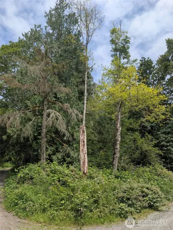 $150,000 | 25314 Ebey Mountain Road, Arlington, WA 98223