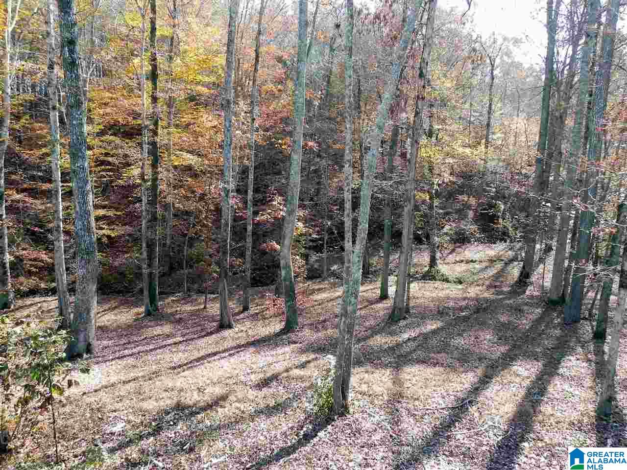404 Murphy Drive Heflin, AL 36264 - Photo 33 of 50