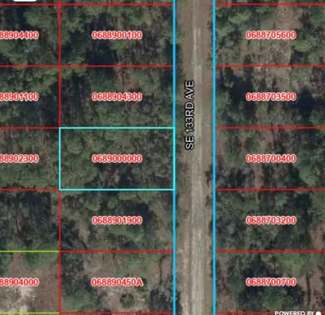 $8,900 | Tbd Tbd 133rd Avenue, Dunnellon, FL 34431