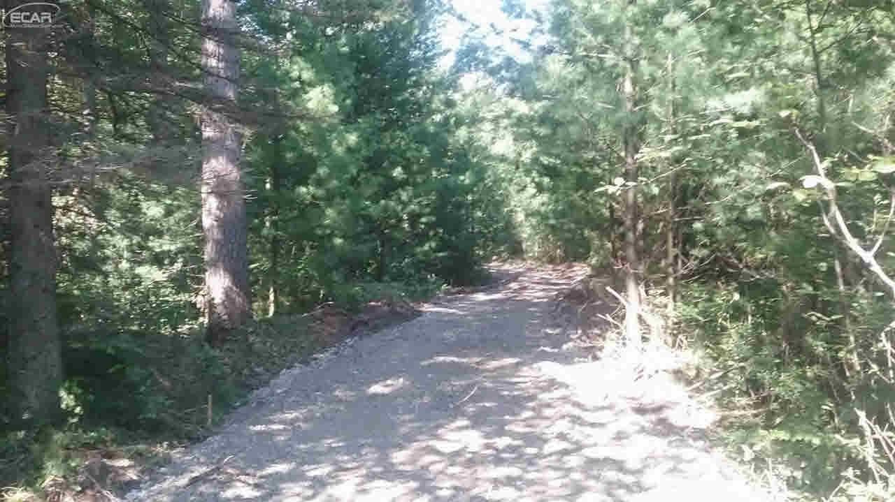 0 South National City Road Turner, MI 48765 - Photo 1 of 11