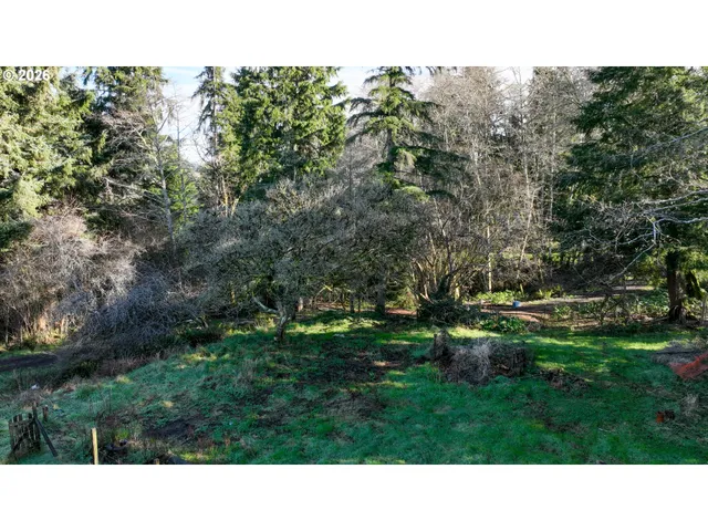 a black and white photo of a park