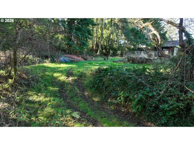 a open area with trees in the background