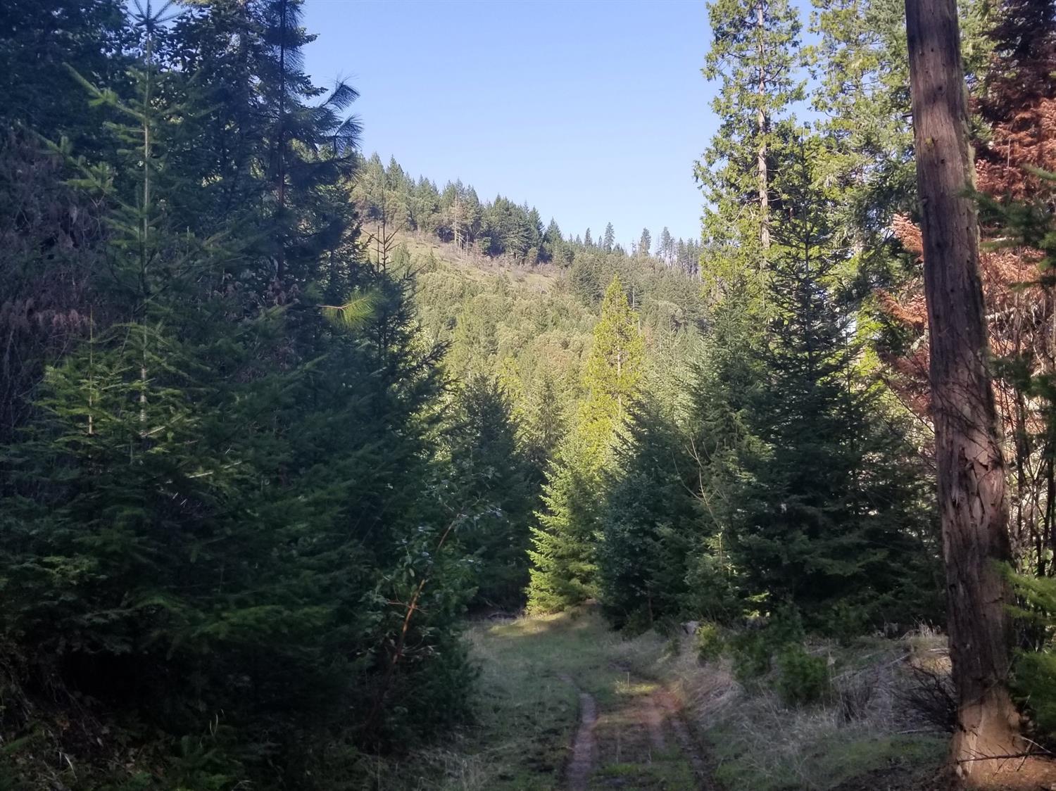 16079 East Antelope Road Eagle Point, OR 97524 - Photo 19 of 34 Additional Photo