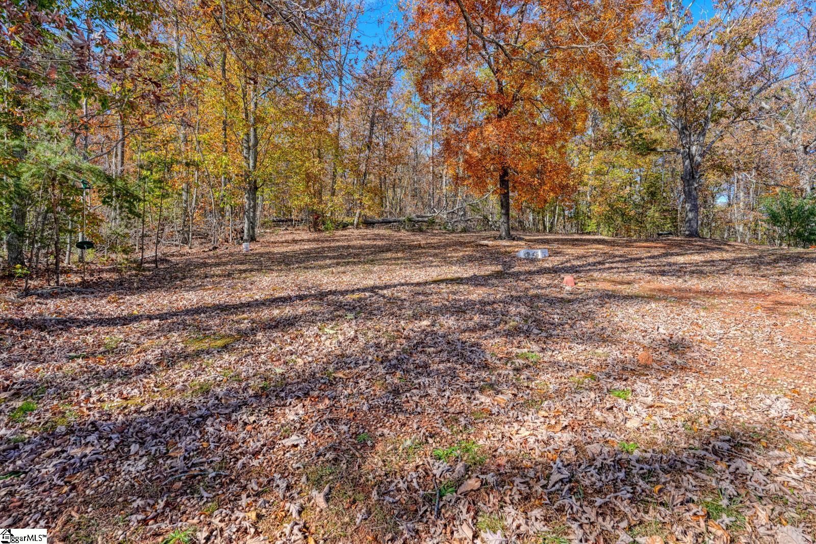 4417 State Park Road Greenville, SC 29609 - Photo 7 of 50 Gallery Image 7