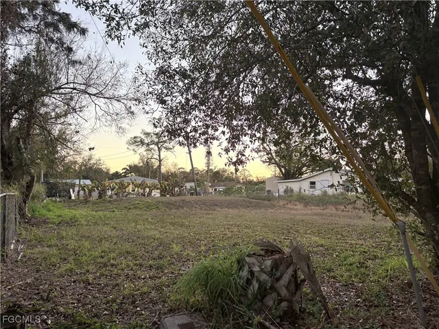 a view of a field with large trees