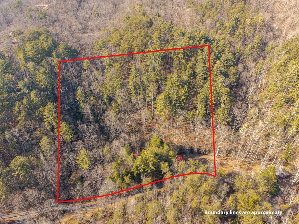 5411 Turniptown Road Ellijay, GA 30536 - Photo 19 of 51 Gallery Image 19