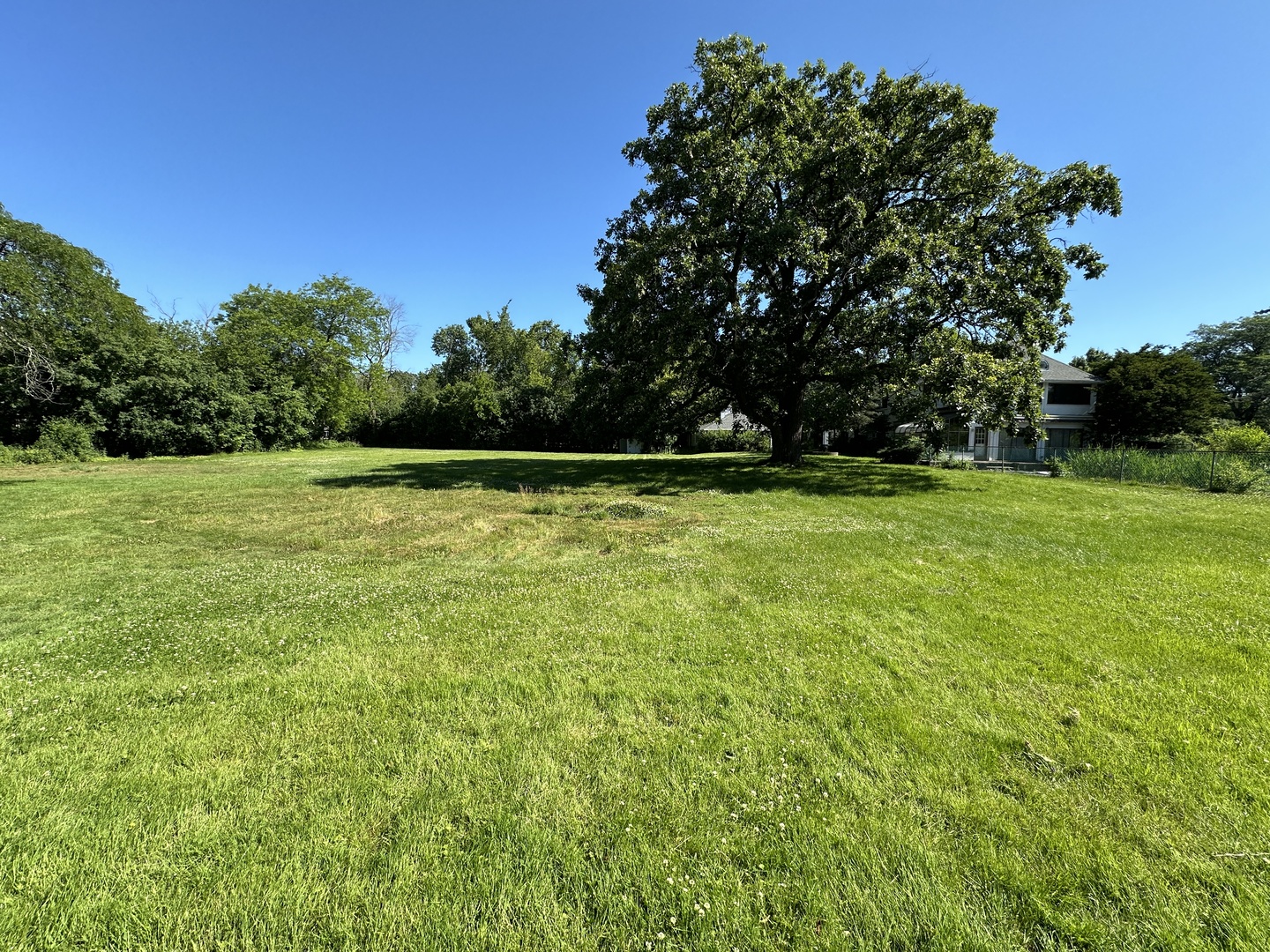 118 Dickens Road Northfield, IL 60093 - Photo 3 of 5 a view of a green field with trees in the background