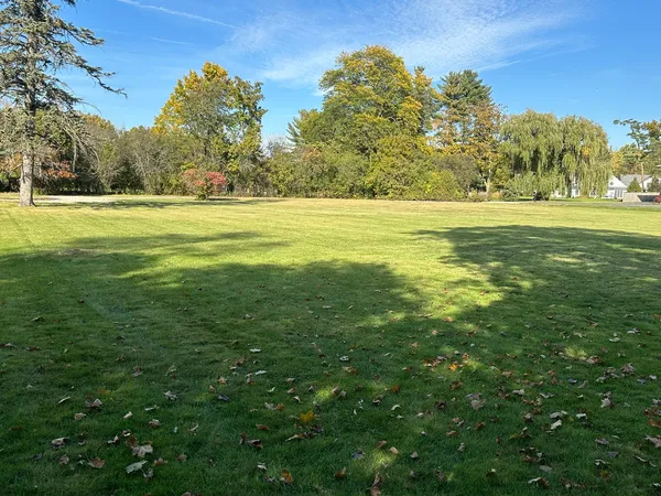 a view of a green field