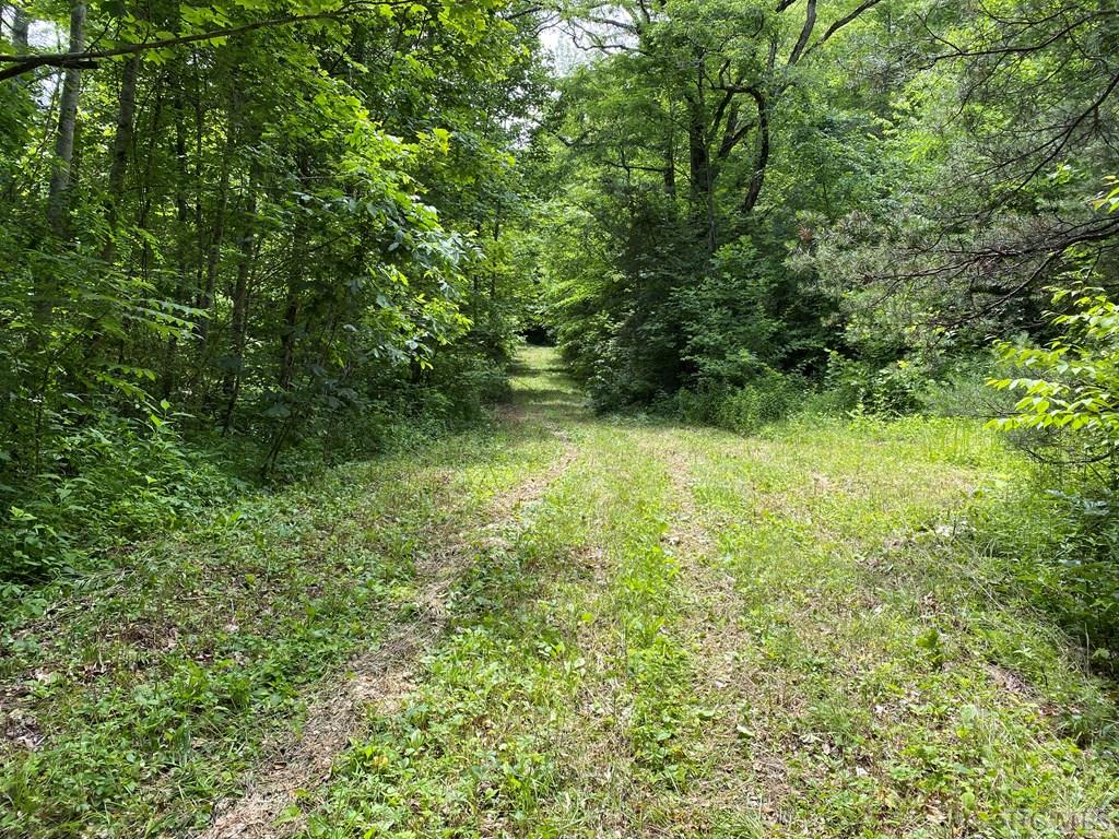 1-3 Moody Bridge Road Cullowhee, NC 28723 - Photo 11 of 16 Gallery Image 11